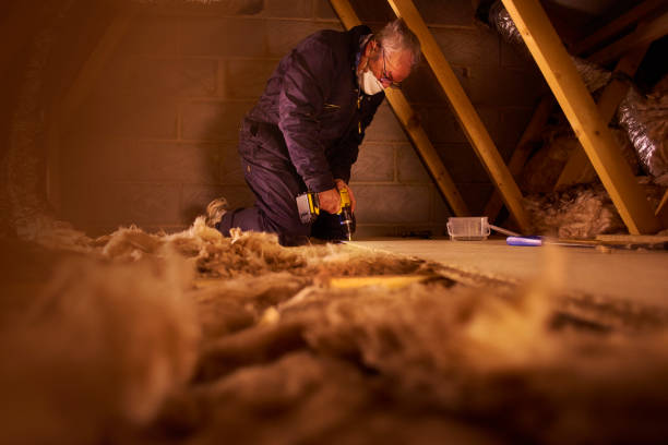 Types of Insulation We Offer in Hayward, CA